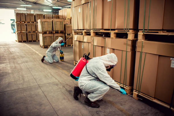 Best Mosquito Control Services  in Camdenton, MO