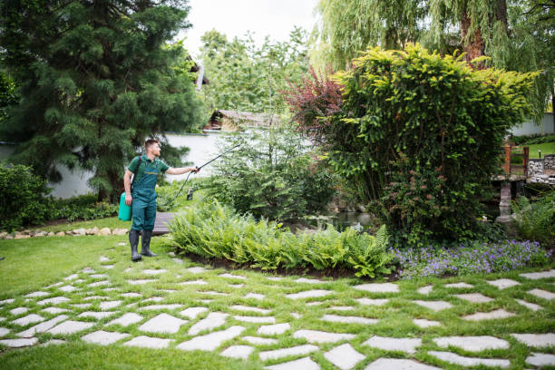 Best Best Pest Control Companies  in Camdenton, MO