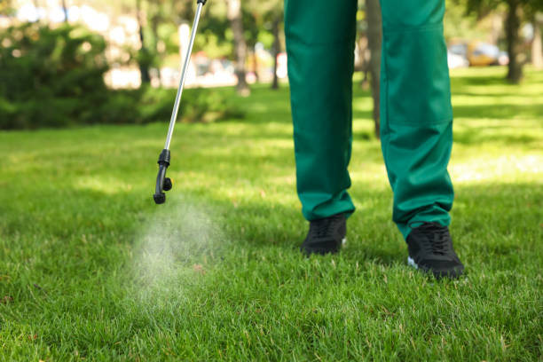 Best Pest Removal Services  in Camdenton, MO