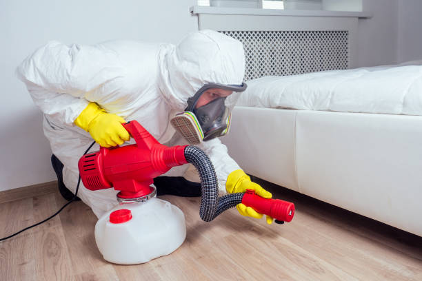 Professional Pest Control in Camdenton, MO
